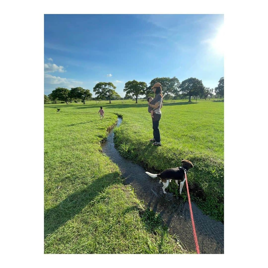 森田真以さんのインスタグラム写真 - (森田真以Instagram)「🌳 夕暮れ時にいちろーとお散歩🐶🌇 近場なのにあまり行ったことがなかった広木公園 とてもいいところだった〜✨ この日は猛暑だったから水に入って気持ちよさそうにしてた⛲️ 亜瑠と麦ちゃんと万里くん いちろーと遊んでくれてありがとぉ🙏🏻♡ そして、安定の勝烈亭🥩 また行こうね〜🤤🤤  #わんことお出かけ #愛犬 #ペット #ビーグル #犬 #犬のいる暮らし #犬との暮らし #犬とお出かけ #水遊び #江津湖 #広木公園 #熊本 #勝烈亭 #いぬすたぐらむ #instadog #instadialy #beagle #dog #dogrun #kumamoto #family #mypet #ig_dogphoto #happy #doglife #dayoff」10月9日 6時06分 - morita_mai