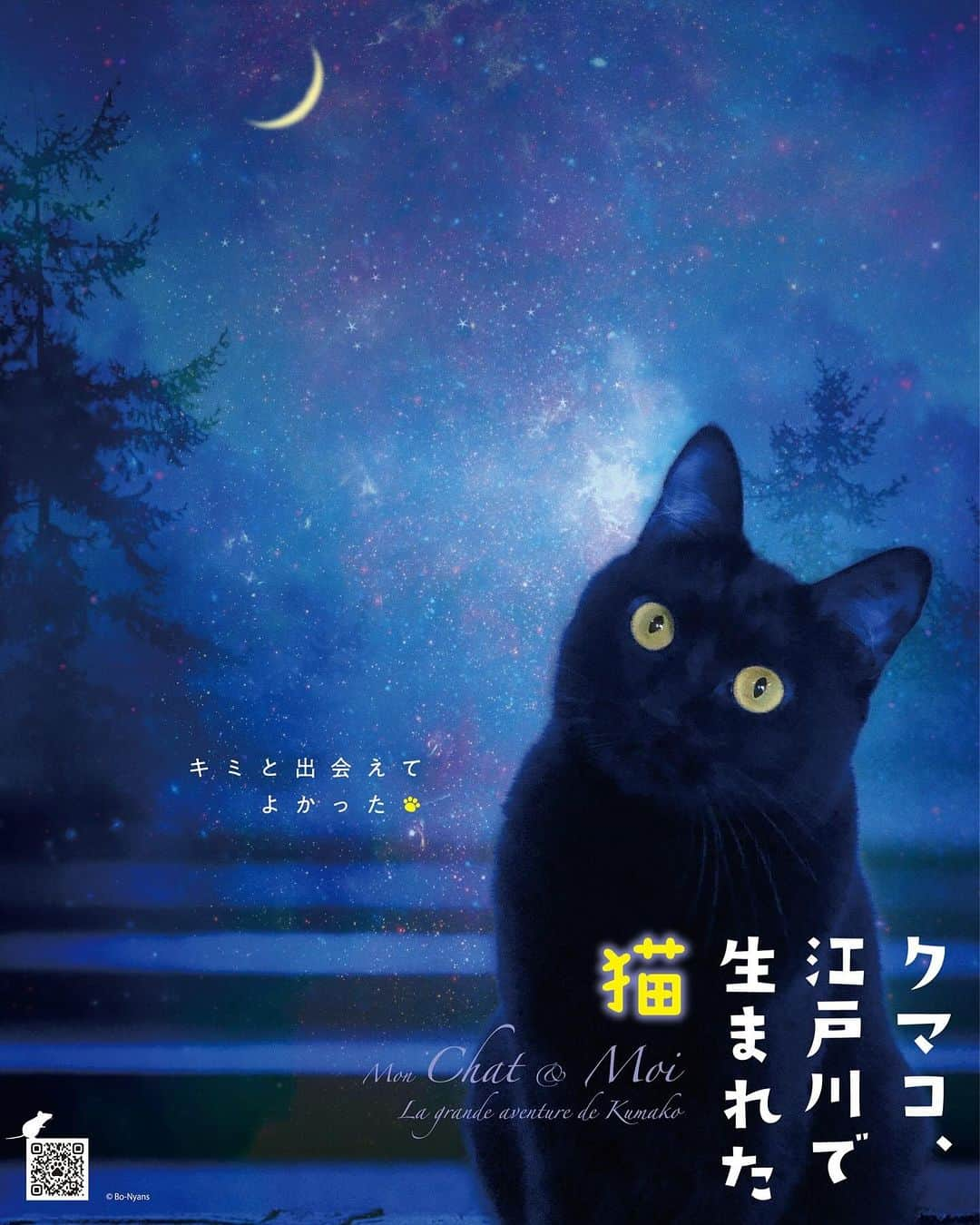 田中要次のインスタグラム：「ウチの猫たちの主演映画？のポスターを作って頂きましたー！本日紹介するのは『クマコ、江戸川で生まれた猫』です！明日もお楽しみに〜 #ルーパリで生まれた猫 #猫Kumako #Bo_nyans #猫のいる暮らし」