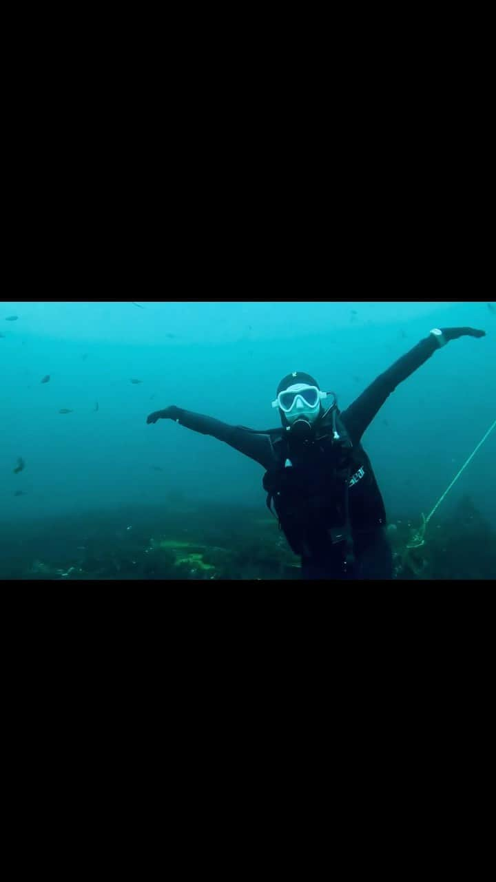 キム・ミニョンのインスタグラム：「인어공주가 되고 싶은 판다🧜🏻‍♀️🐼🐟🐠🐬🫧 #랜턴미뇽 #scubadiving #diver」