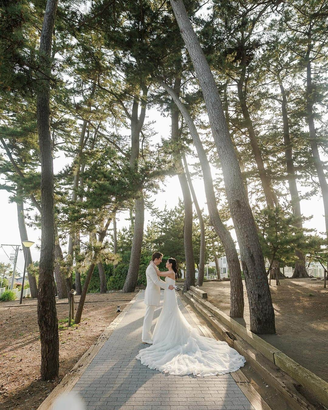 指帆亭のインスタグラム：「* 指帆亭は海だけではなく 松林など自然豊かです🌿 * 1日1組限定、貸切wedding 記憶に残る1日をお過ごしください🕊️  *  指帆亭 Shihantei Pine Tree Resort （月・火曜日定休日、祝日の場合は営業） TEL:0463-43-1611 * 〒259-0123 神奈川県中郡二宮町二宮下向浜36 アクセス ・JR二宮駅より徒歩10分 ・お車でご来店の場合、無料駐車場を完備しております ナビゲーションシステムをご利用の際は、目的地に「二宮町立 二宮中学校」と設定をお願い致します。 *  #shihantei #指帆亭 #結婚 #結婚式 #二宮 #湘南 #茅ヶ崎 #平塚 #藤沢 #小田原 #大磯 #鎌倉 #二宮駅 #記念日 #貸切 #海 #海が見える #リゾート #リゾートウエディング #ガーデン #プレ花嫁 #ウェディング #ブライダルフェア #ウェディングフォト  #フォトスポット #ウエディングドレス #披露宴 #レストランウェディング#湘南ウェディング」