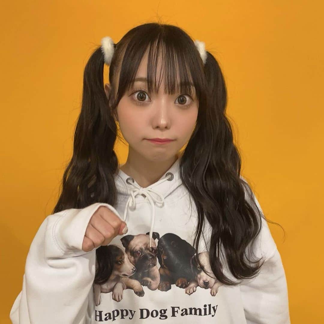 澤田美晴さんのインスタグラム写真 - (澤田美晴Instagram)「Happy Dog Family ~:)♪⭐︎🐶🩷」10月9日 16時37分 - sawadamiharu7