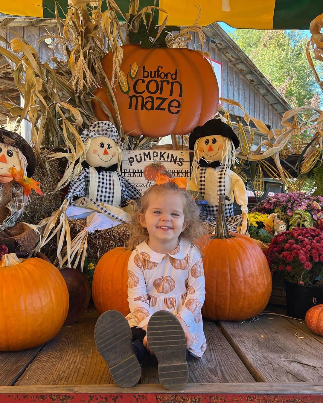 Breonne Rittingerさんのインスタグラム写真 - (Breonne RittingerInstagram)「Family fall days are the greatest! 3rd year at the corn maze and it gets better each year! Cookies and painting pumpkins to finish out the night! #fall #pumpkin #cornmaze #cookies」10月9日 8時37分 - breonnecowan