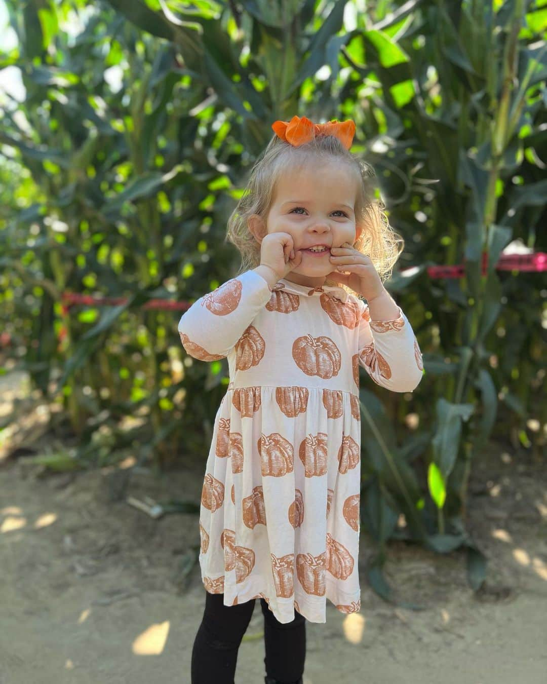 Breonne Rittingerさんのインスタグラム写真 - (Breonne RittingerInstagram)「Family fall days are the greatest! 3rd year at the corn maze and it gets better each year! Cookies and painting pumpkins to finish out the night! #fall #pumpkin #cornmaze #cookies」10月9日 8時37分 - breonnecowan