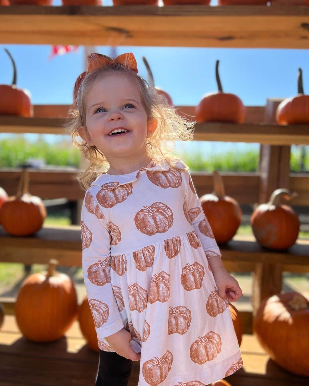 Breonne Rittingerのインスタグラム：「Family fall days are the greatest! 3rd year at the corn maze and it gets better each year! Cookies and painting pumpkins to finish out the night! #fall #pumpkin #cornmaze #cookies」