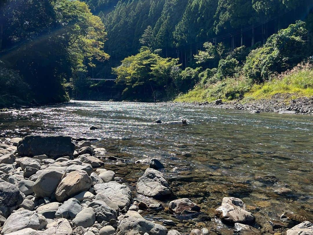 清水盛三さんのインスタグラム写真 - (清水盛三Instagram)「先週、今シーズン最後の鮎釣りにチャレンジしてきました。 数はあまり釣れなかったけど自己記録の鮎が釣れたりで良い鮎ばかりだったので最高の納竿鮎釣りが出来ました😄  もう既に来シーズンが楽しみで待ち遠しいですわ〜😁 ・ ・ ・ #鮎 #ayu #鮎釣り #和歌山県 #日高川 #ダイワ #daiwa #ゼクー #zeque #pr」10月9日 8時39分 - morizo_shimizu