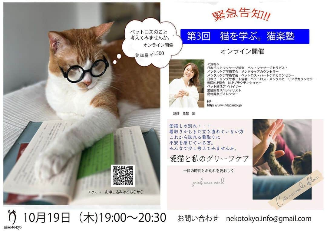 川上麻衣子のインスタグラム：「にゃなかtown企画 猫楽塾第三回は、オンラインでの開催です。グリーフケアの名越愛先生をお迎えして、愛猫の看取りや、ペットロスについて一緒に学びませんか? グリーフとは、死別に伴う悲嘆 という意味だそうです。 哀しみを分かち合い優しい気持ちになれますように。 ご参加お待ちしています。」