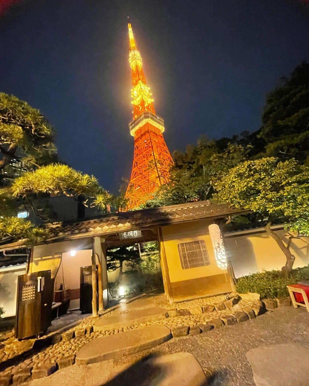 桜井未来さんのインスタグラム写真 - (桜井未来Instagram)「@ukaishiba は日本庭園が1番の売りだと思う🥺🇯🇵🍃 こんな都会に美しすぎる庭園中々ない🥺✨  #japantrip #庭園 #teien #日本庭園 #nihon #nihonteien #ukai #うかい #とうふ屋うかい #tofuyaukai」10月9日 9時46分 - miki.sakurai0214