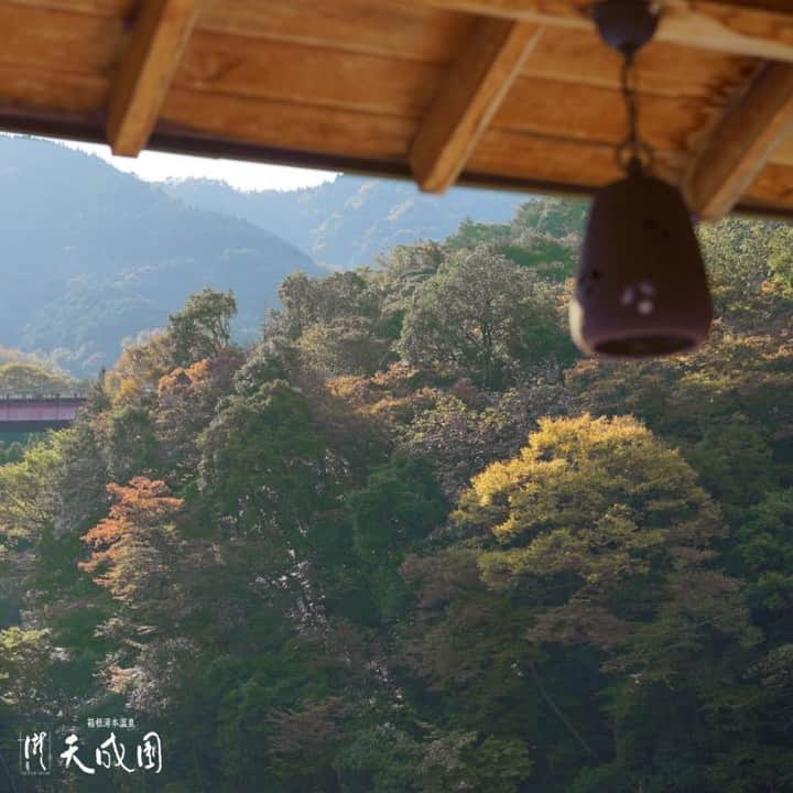 【公式】箱根湯本温泉 天成園のインスタグラム：「♨ おはようございます☀️ 三連休最終日の今日は #スポーツの日  季節の変わり目でなんだか体が不調だなぁ…なんて時こそハイキング＆温泉がオススメ♨️  たくさん歩いて疲れた身体に 温泉の温かさがじんわりと広がります  箱根湯本は食べ歩きスポットも多く、散策にもピッタリ😊 天成園の足湯はどなた様でもご利用いただけますので、お気軽にお立ち寄りくださいね♪  #箱根 #箱根湯本 #天成園 #箱根湯本温泉 #天成園箱根湯本 #温泉 #本格温泉 #箱根ホテル #箱根旅館 #箱根旅行 #旅行 #個室 #貸し切り #レンタル浴衣 #露天風呂」