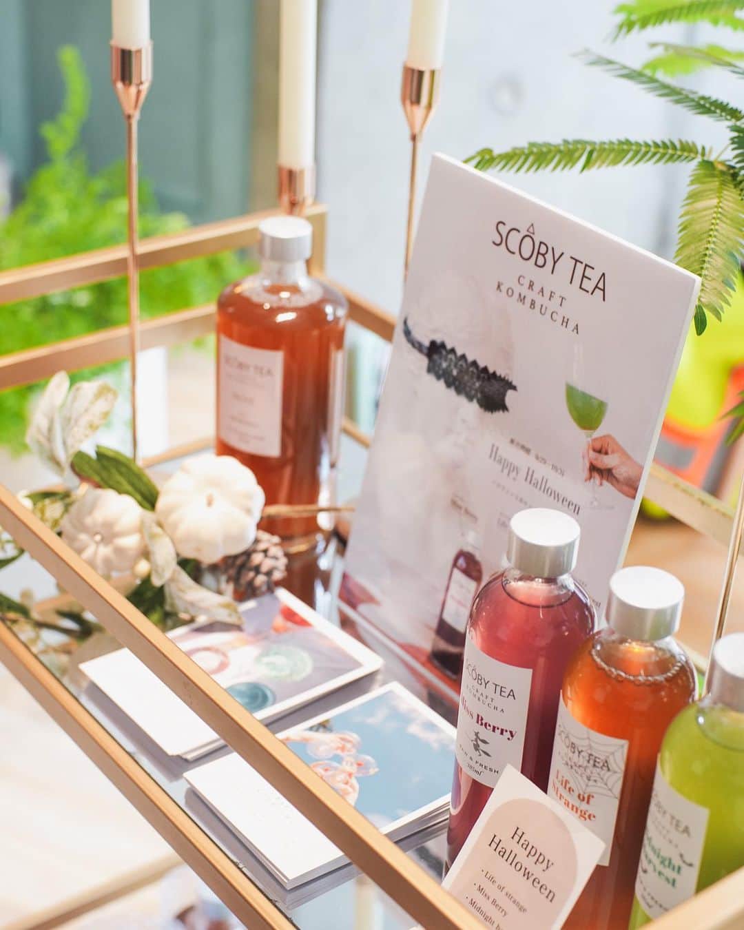 陸守絵麻のインスタグラム：「Vegan Friendly  Supported by SCOBY TEA  Vegan Friendlyでは、添加物や動物性の食品、製品を使用せず無添加でグルテンフリーのスィーツや食材をセレクトしています。  自然素材を扱う出店者様の思いのこもったイベントで、今回も美味しく楽しく色々な事を学ばせていただいた時間となりました。  Vol.3も素敵なイベントになる事間違いないです✨  ありがとうございました🌏🌿🌷💕  @scobycha_tea  Photo by @bloom_room21   #veganfriendly #vegan #ヴィーガンスイーツ #ヴィーガンフード #生コンブチャ #ローフード #オーガニック #無添加  #身体に優しい #美味しいは幸せ」