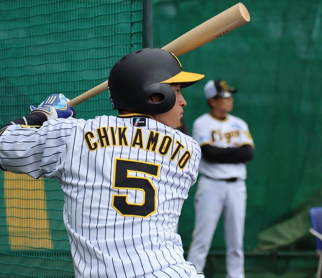 阪神タイガースさんのインスタグラム写真 - (阪神タイガースInstagram)「10月9日、甲子園球場での練習の様子です！ #茨木秀俊 選手 #門別啓人 選手 #近本光司 選手 #木浪聖也 選手 #中野拓夢 選手 #坂本誠志郎 選手 #大山悠輔 選手 #シェルドンノイジー 選手 #青柳晃洋 選手 #才木浩人 選手 #伊藤将司 選手 #阪神タイガース #ARE」10月9日 13時30分 - hanshintigers_official