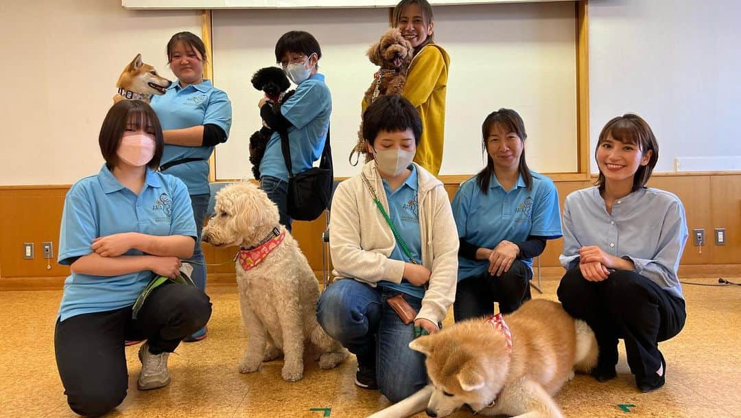 澤田愛美さんのインスタグラム写真 - (澤田愛美Instagram)「.  きょうは取材で 「動物のことについてもっと知ろう」という講演会へ！  犬たちは体を使ってコミュニケーションをとっていることや、 アニマルセラピーについて、 そして犬のしつけの目的が変わってきていることなど、 興味深いことがたくさんでした😳✨  犬たちと触れ合える時間もあり まさに癒しでした🥺  きょう午後6時15分〜の ハレのちあしたで放送予定です！  .   #アニマルセラピー #犬 #青森朝日放送 #ハレのちあした #取材 #報道 #アナウンサー」10月9日 13時47分 - amy____oxox