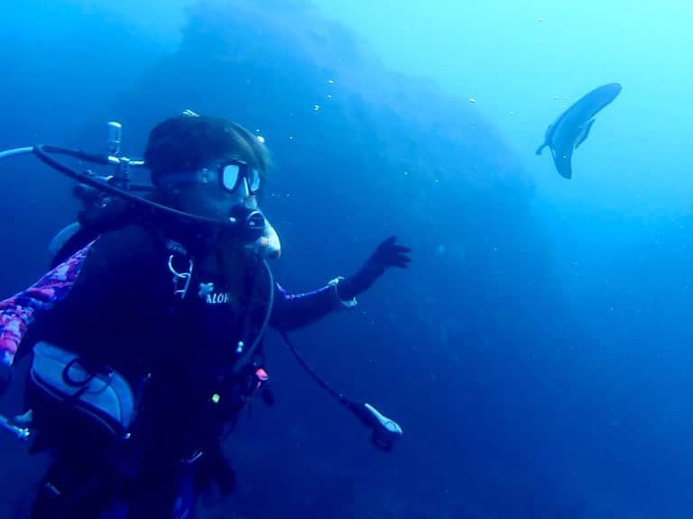 神谷麻美さんのインスタグラム写真 - (神谷麻美Instagram)「#scubadiving 💖🧜🏻‍♀️🪸🫧💖✨️  楽しいっ💖👼🏻‪‪︎‪︎‪🫶🏻👼🏻‪💖🪐🌈💖✨️  大きすぎる#カメ ちゃん💖🐢💖🌈💖✨️ 恐竜みたいなの🦖💖✨️ 可愛いっ💖✨️   #ハリセンボン ちゃん🐡💖ﾂﾝﾂﾝ💖✨️#punk だね💖✨️  可愛いっ🦖💖かわいいっ🦔💖✨️   #海の世界 最高❤️🌴❣️❣️✨️  #神秘的 💖✨️  一緒に #ダイビング しよっ🥰💕✨️ @aloha_lounge_lanai    #スキューバダイビング  #diver #ダイバー #ダイビング女子」10月9日 13時49分 - asamice428