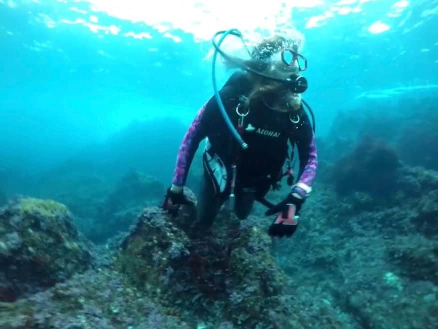 神谷麻美さんのインスタグラム写真 - (神谷麻美Instagram)「#scubadiving 💖🧜🏻‍♀️🪸🫧💖✨️  楽しいっ💖👼🏻‪‪︎‪︎‪🫶🏻👼🏻‪💖🪐🌈💖✨️  大きすぎる#カメ ちゃん💖🐢💖🌈💖✨️ 恐竜みたいなの🦖💖✨️ 可愛いっ💖✨️   #ハリセンボン ちゃん🐡💖ﾂﾝﾂﾝ💖✨️#punk だね💖✨️  可愛いっ🦖💖かわいいっ🦔💖✨️   #海の世界 最高❤️🌴❣️❣️✨️  #神秘的 💖✨️  一緒に #ダイビング しよっ🥰💕✨️ @aloha_lounge_lanai    #スキューバダイビング  #diver #ダイバー #ダイビング女子」10月9日 13時49分 - asamice428