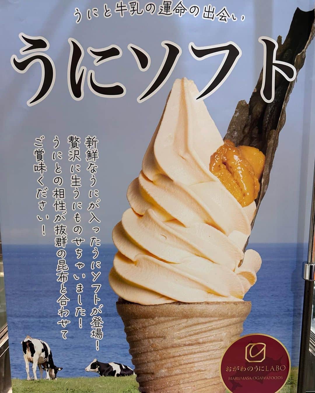 滝川かのん（三城ありさ）さんのインスタグラム写真 - (滝川かのん（三城ありさ）Instagram)「日本橋高島屋の催事場にて開催中の大北海道展で おがわのうにLABOさんのうにソフト食べました。  板のうにを目の前でソフトクリームに乗せて貰えます🍦 昆布はガチの昆布です。 昆布単品でかじったらしょっぱかったです(笑) ソフトにつけたらちょうど良い✨️  ソフト自体にウニが練り込まれてて、ウニ好きにはたまらないソフトクリームです！ 生ウニも乗ってます。  カップかコーンか選べます✌️  中々ないと思うので、気になる方はぜひ✨👀  #日本橋高島屋 #大北海道展  #おがわのうにlabo  #うに #ウニ #うにソフトクリーム #ソフトクリーム #アイス #昆布  #グルメ #グルメ女子  #グルメスタグラム  #グルメ好きな人と繋がりたい  #北海道 #北海道グルメ」10月9日 14時23分 - sanjyo_arisa