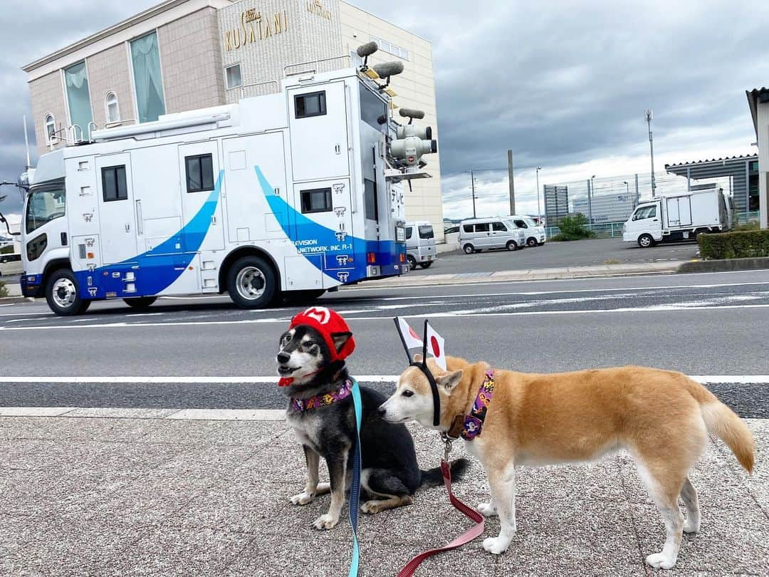 がんちゃんさんのインスタグラム写真 - (がんちゃんInstagram)「出雲駅伝1区  今年はまさかの反対車線を選手が走っていました！ カメラは当然反対車線を写してました… 先頭がアメリカの選手だったので右側通行したのかしら？  #てんタッキーを探せ」10月9日 14時29分 - kota2ann