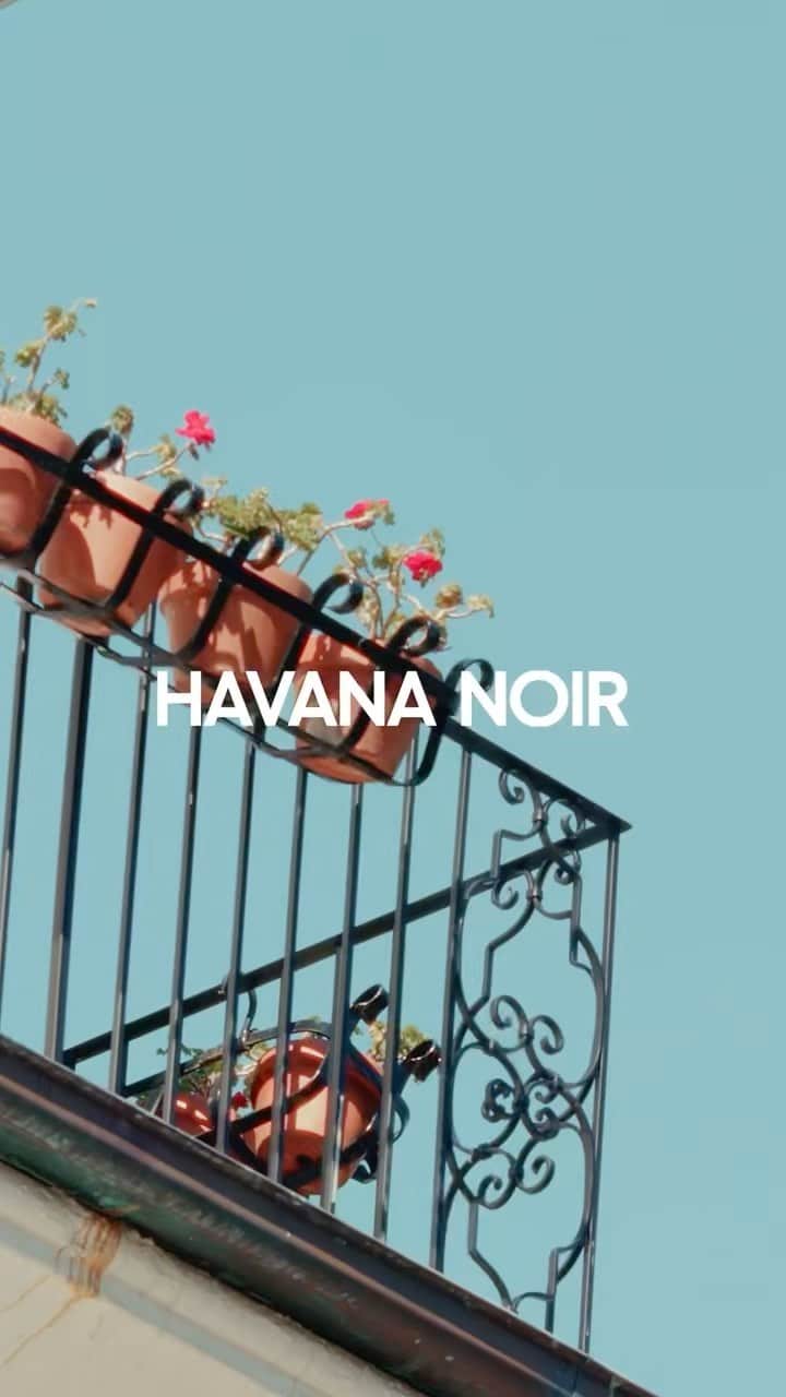 サスアンドバイドのインスタグラム：「COMING SOON | Resort ‘23 Havana Noir arriving 10.10.23 in store & online. #sassandbide #Resort23 #havananoir」