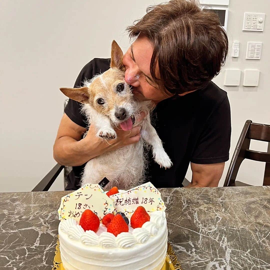 照英のインスタグラム：「愛犬テン18才の誕生日&結婚記念日のケーキ買ってきましたよ❕  #犬#愛犬#ジャックラッセルテリア#テン#18才#メス#結婚記念日#ショートケーキ」