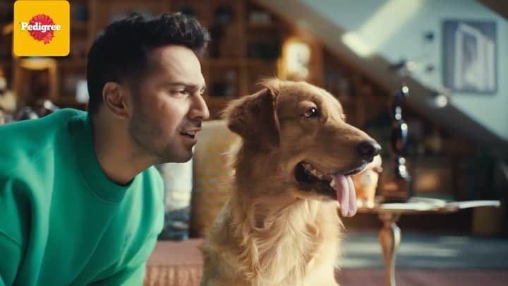 Varun Dhawanのインスタグラム：「Super thrilled to be the first  Indian brand ambassador for @pedigree_india   #VarunBowledOverByPedigree  As a dog parent, I fully support properly crafted nutrition for them, and that’s why, with Pedigree’s 100% complete and balanced nutrition, we want your doggo to have stronger bones, muscles & shinier coat too, just like Buddy!   Packed with 37 vital nutrients, you can also unlock their star potential. Try Pedigree now!   #PedigreeCompleteAndBalancedNutrition」