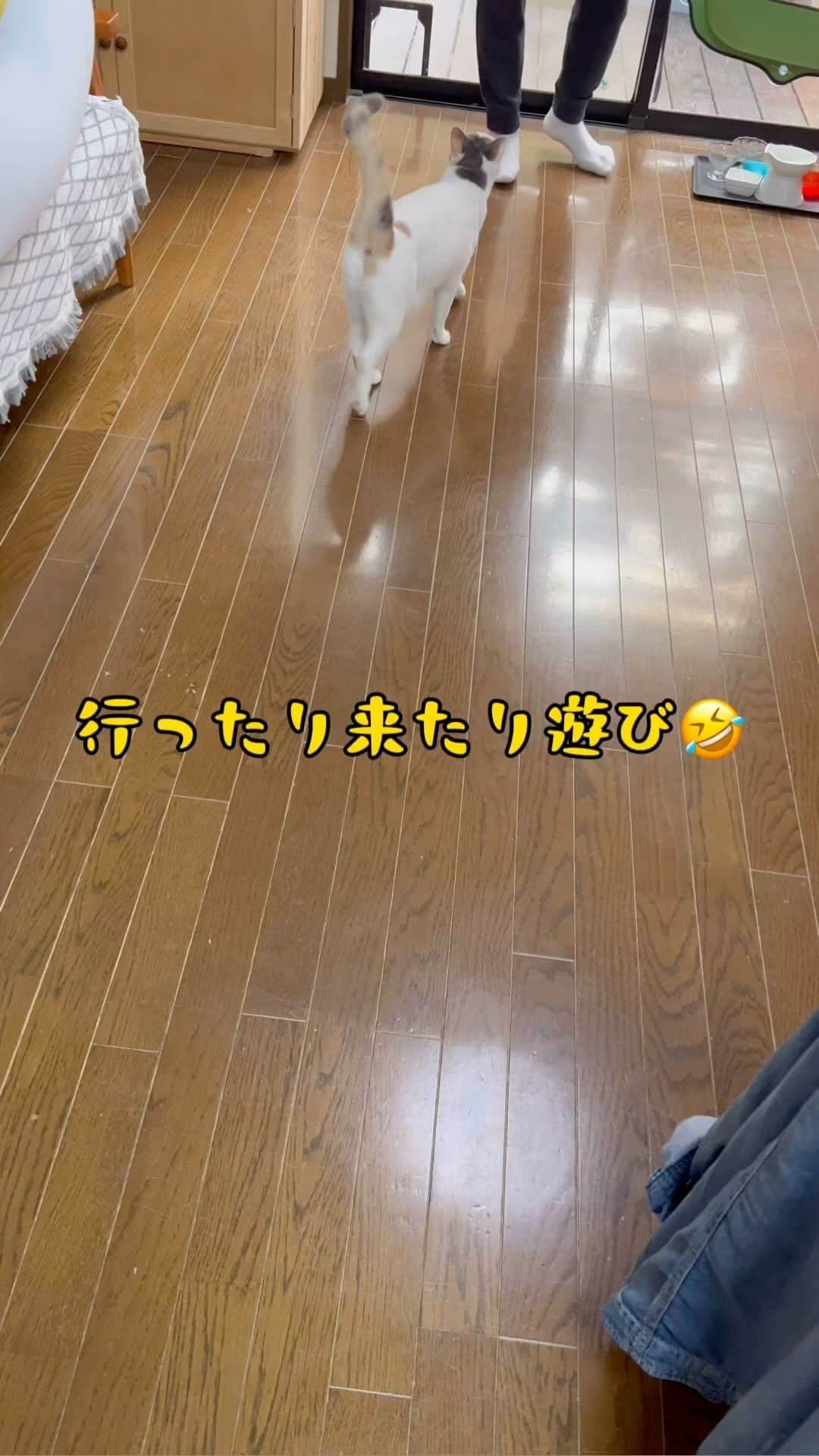 midoriのインスタグラム