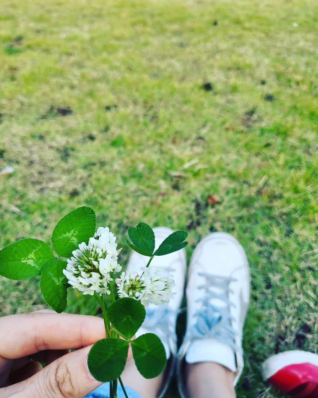 ユン・サンヒョンさんのインスタグラム写真 - (ユン・サンヒョンInstagram)「나겸이가 만든 낙엽 회오리감자 집 마당 아닌 다른 곳에 있으면  봐도 봐도 안질리는 토끼풀 꽃.  #가을」10月9日 15時44分 - ailleursbibi