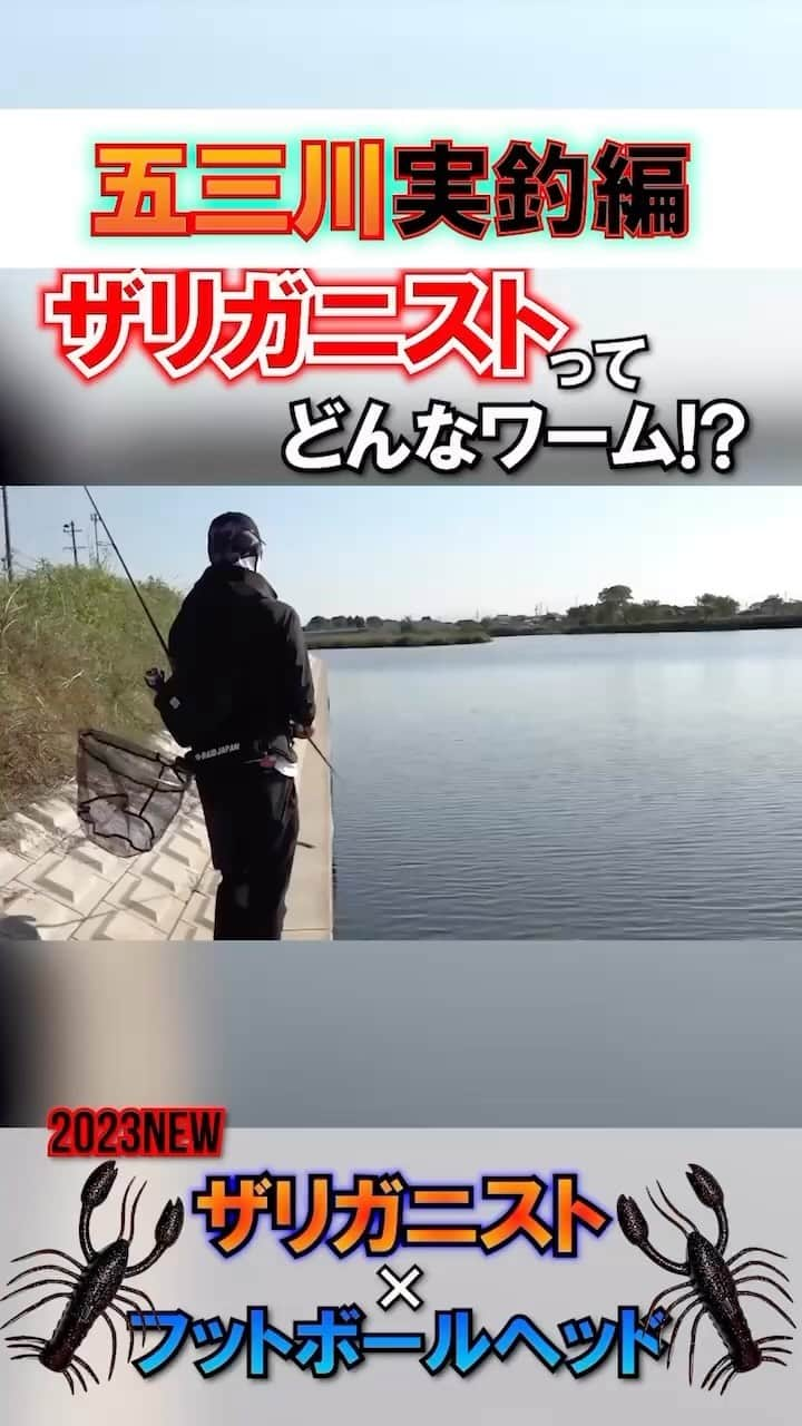 金森隆志のインスタグラム：「各所でザリガニストの釣果がUPされていますが、皆さんはどんな使い方で釣っているんでしょうか？ ザリガニスト🦞実はストも出来ます‼️ 適材適所でいろんな使い方を試して遊んでみてください✌️」