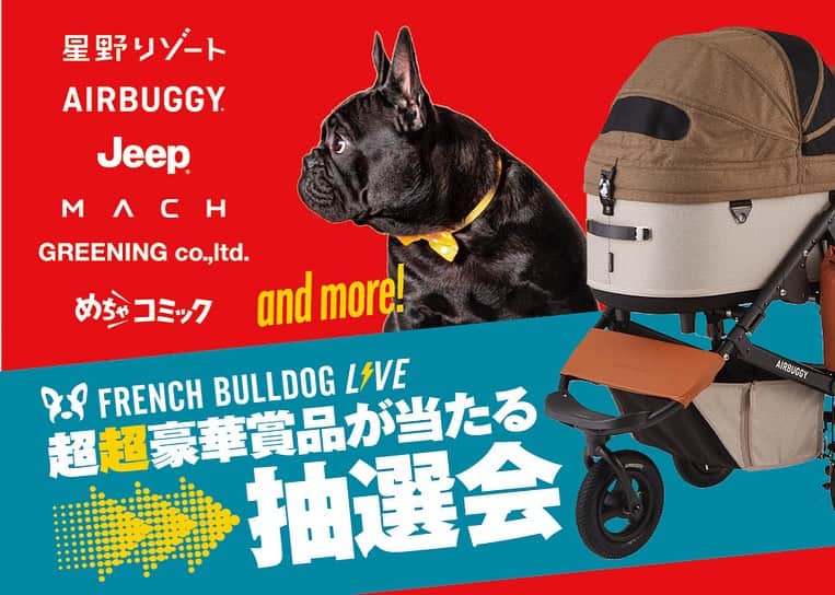 French Bulldog Lifeのインスタグラム：「【星野リゾート無料宿泊券、エアバギー、アンカーの掃除機が当たる！】超超豪華な「フレブルLIVE」抽選会、今年もやります！  ＜賞品ラインナップ公開中！＞  「フレブルLIVE」まで3週間を切りました！  昨年大好評だった芸人・カミナリさんとの抽選会（じゃけん大会）。  今年はさらにパワーアップし、超超豪華なプレゼントがそろっています⚡️  星野リゾート無料宿泊券や、エアバギー、アンカーの新型掃除機などなど。  参加しないと絶対「損（そん）」な、超豪華ラインナップをご紹介中！  詳しくはフレブルライフをご覧くださいね。  ★事前チケットの販売は「10/15(日)」まで！  #フレブルLIVE行くよ #フレブルLIVE」