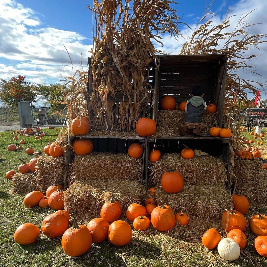 深津瑠美さんのインスタグラム写真 - (深津瑠美Instagram)「🎃Pumpkin Fest🧡 野球が大好きなんだね、まだ投げたいんだね🥺⚾️ 景品はベビーカーでしっかり持ち帰らせていただきました🐼💪 #pumpkin #pumkinfest #toronto #thanksful #autumn」10月10日 2時29分 - _rumi.kikuchi_
