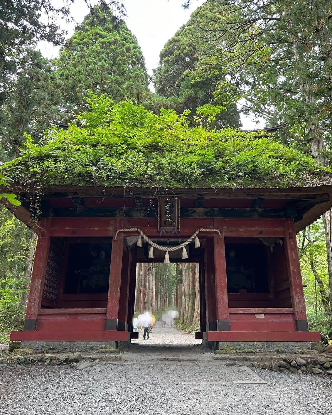 後藤郁さんのインスタグラム写真 - (後藤郁Instagram)「お待たせしました！ 先日から投稿しております、年に一回行く場所の、やっと解答です🤭  そのある場所とは、、 『長野県の戸隠神社』⛩️ 名前を聞くと、知っている！となる方も多いかも知れせん。 いくつか神社がある中で、舞楽芸能の神様が祀られている場所があり、一度行ってから雰囲気が好きで、お参りに行くようになりました♪  また、奥社につながる荘厳な杉並木は何度行っても感動します。しっかり山道なので、歩きやすい服装がマスト&水分補給も大事に。 ちなみにかおるは、骨折後のリハビリがてら挑戦した時は、帰りに泣きを見ました😂  創建以来二千年余りにおよぶといわれている歴史を感じることもできるし、周辺の“戸隠蕎麦”も絶品でオススメです。笑  何だったらお参り行かなくてもお蕎麦食べてほしい...なんてw  ー戸隠神社(公式HP抜粋)ー 霊山戸隠山のふもとにあり、奥社・中社・宝光社・九頭龍社・火之御子社の五社からなる戸隠神社。はるか神代の昔、高天原に由来する「天岩戸開き神話」ゆかりの神々を祀っています。  また、コメントたくさんありがとうございます☺️  近々行く予定なので、長野市内でオススメスポットがありましたら教えてください✨  #長野 #戸隠 #神社」10月9日 17時53分 - kaoru_goto.official