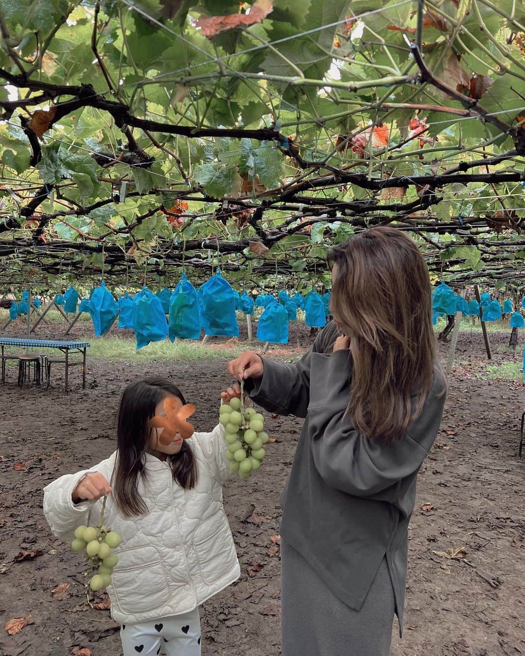 山中美智子さんのインスタグラム動画 - (山中美智子Instagram)「NEW