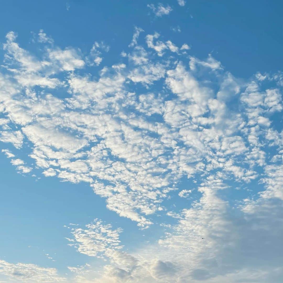 樋口柚子のインスタグラム：「いつの日かの秋の空〜☁️🌾」