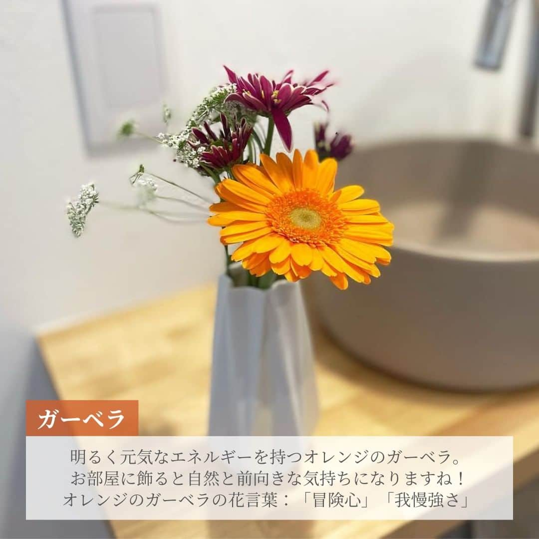 Bloomee LIFEさんのインスタグラム写真 - (Bloomee LIFEInstagram)「． オレンジのお花 5選🌼  ビタミンカラーの中でも万人受けする  #オレンジのお花   お部屋に飾るだけで活力＆向上心がアップ✨  オレンジのお花が届いたら📪 ポジティブなパワーをもらってくださいね！  ーーーーーーーーーーーーーーー  お花が届いたら『 #ブルーミー 』 をつけて投稿してみてください📸  ほかの投稿は @bloomee でチェック👀🌹  #bloomee #お花の定期便 #お花のサブスク #花部 #花写真 #花を楽しむ #花が好き #花好きな人と繋がりたい  #お花のある暮らし #花のある生活 #花のある生活が好き #花を飾る  #暮らしを楽しむ #丁寧な暮らし #豊かな暮らし #インテリアフラワー #フラワーインテリア #ナチュラルインテリア #インテリア #オレンジの花 #オレンジの花束  #オレンジの花が好き #オレンジブーケ」10月9日 18時00分 - bloomee