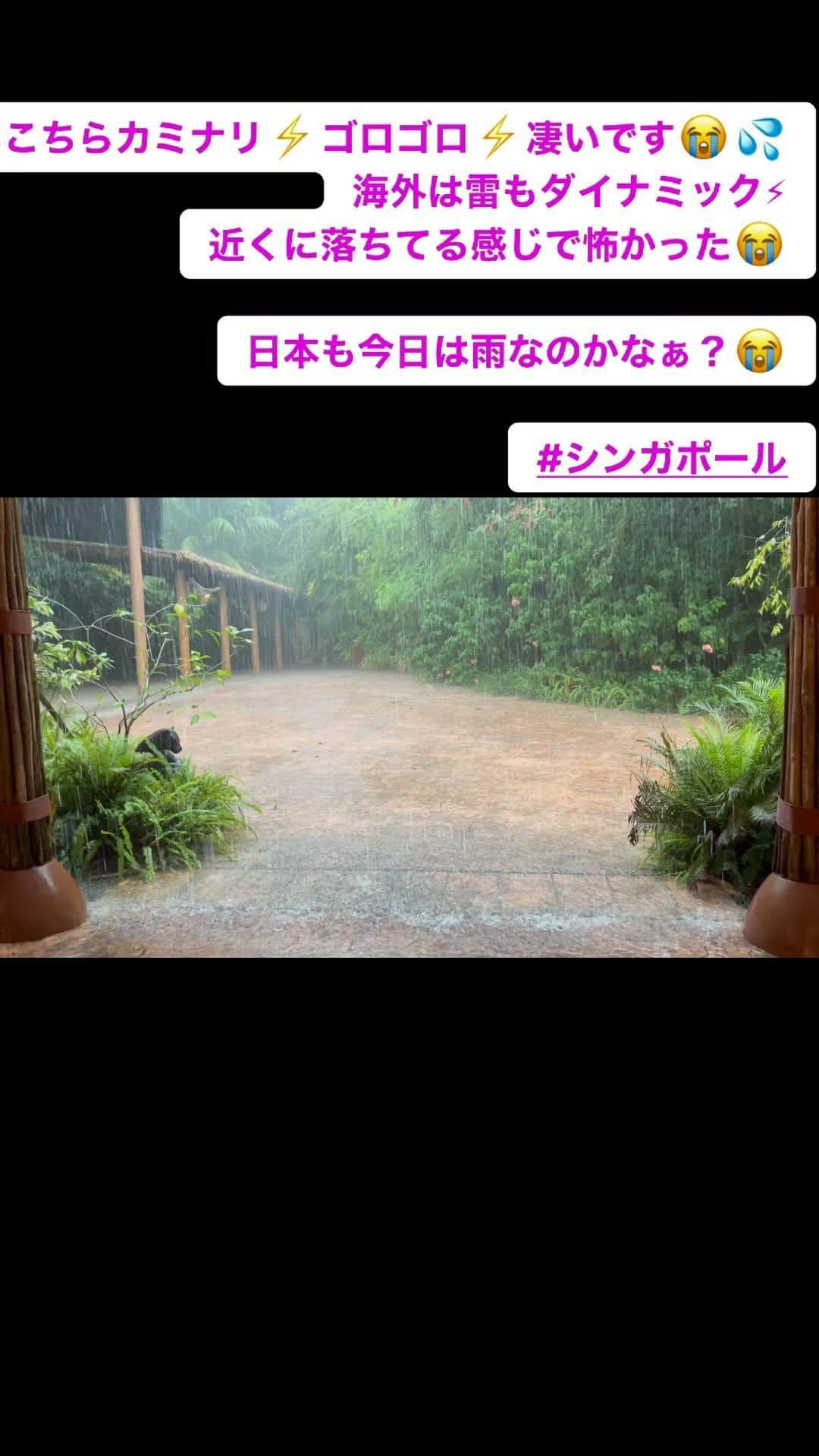 神崎りのあのインスタグラム：「こちらカミナリ⚡️ゴロゴロ⚡️凄いです😭💦 海外は雷もダイナミック⚡︎ 近くに落ちてる感じで怖かった😭  日本も今日は雨なのかなぁ？😭   #シンガポール」