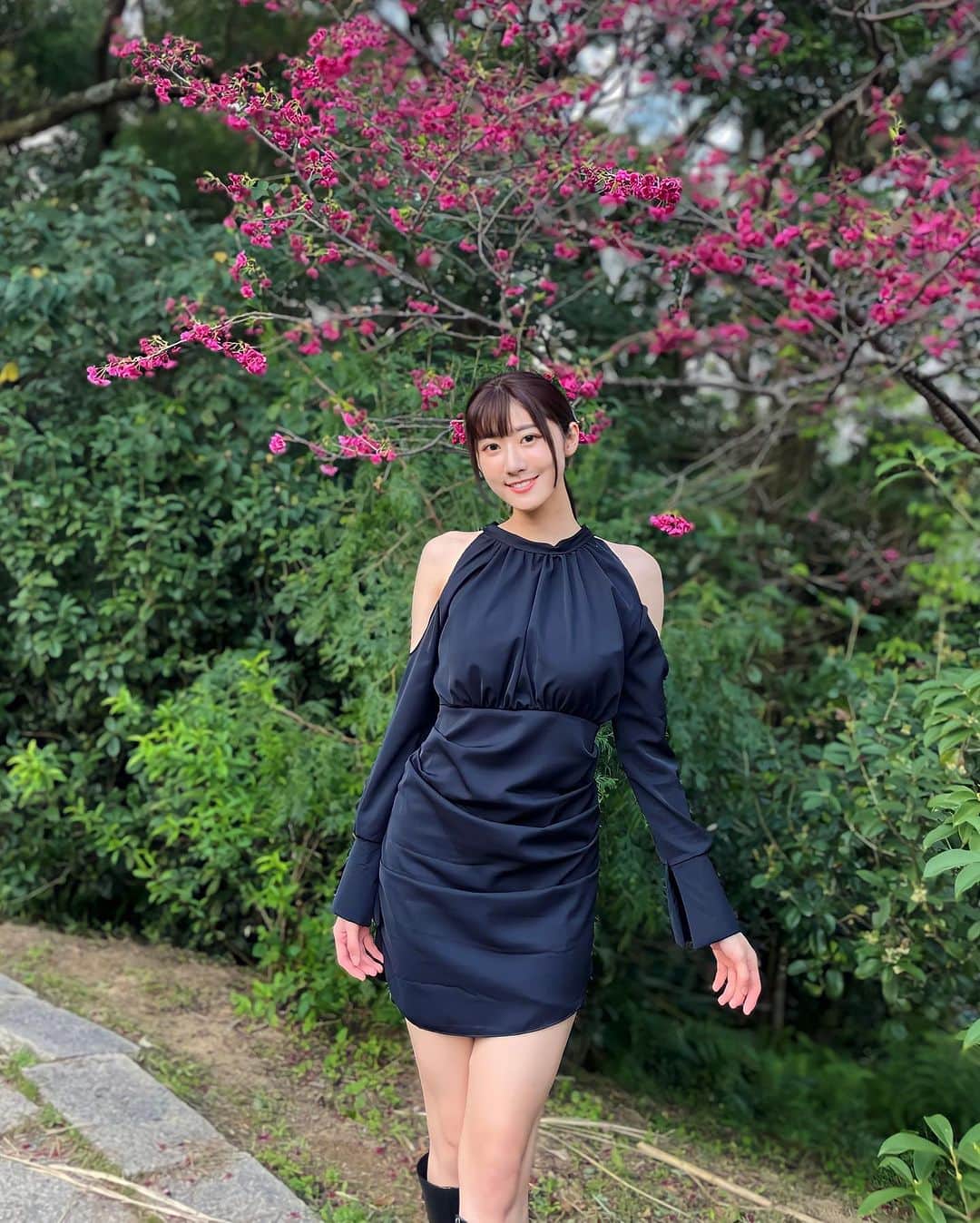 茉晶のインスタグラム：「- 沒能見著的最後一面  隨著杏花飄落，那份思念，也將消散於春風中。  星霜荏苒，或許總有一天——  我能忘卻與你度過的花晨月夕。  #茉之絮語」