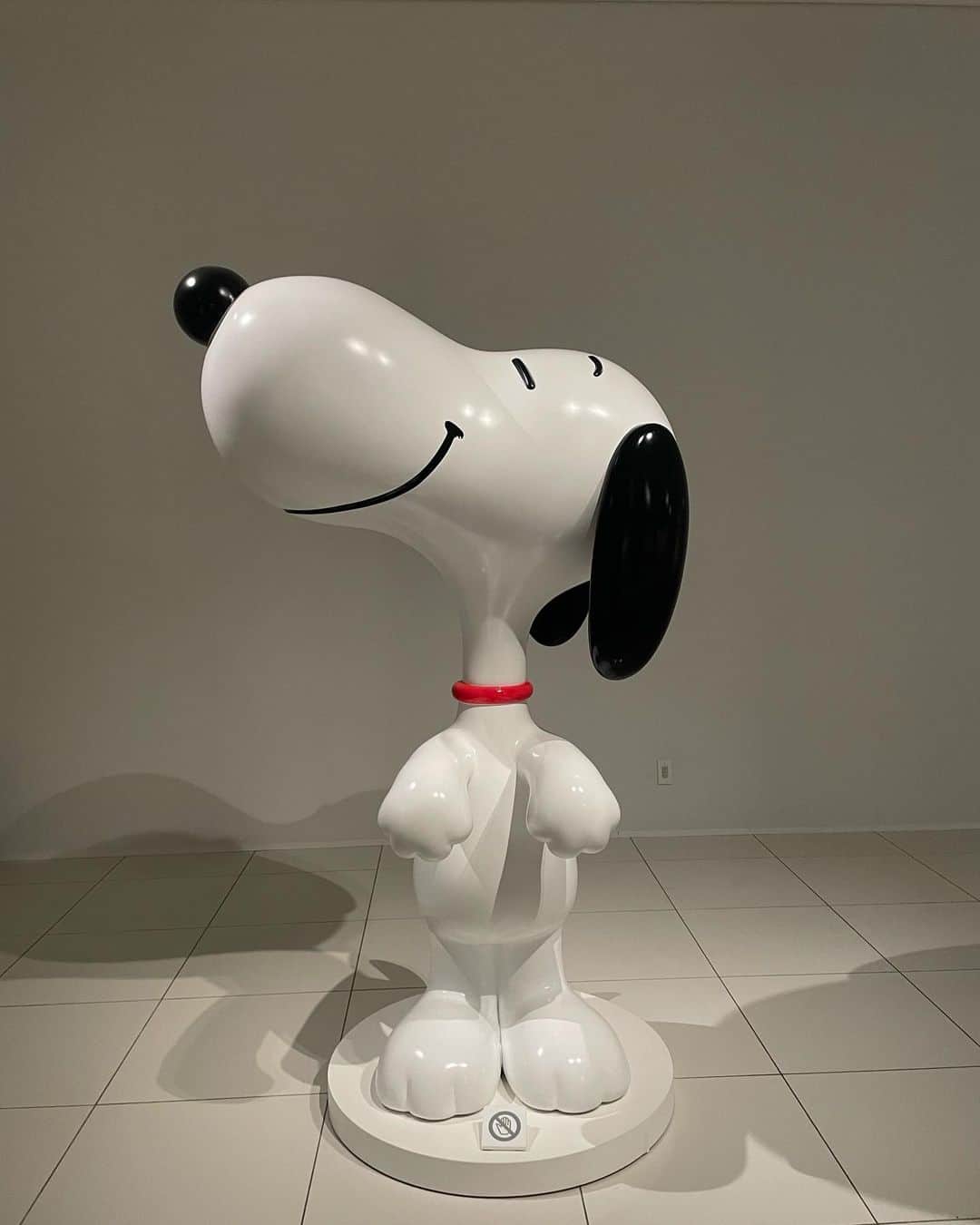 芝彰子のグルメインスタ