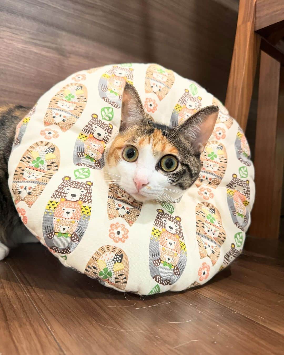 金太のインスタグラム