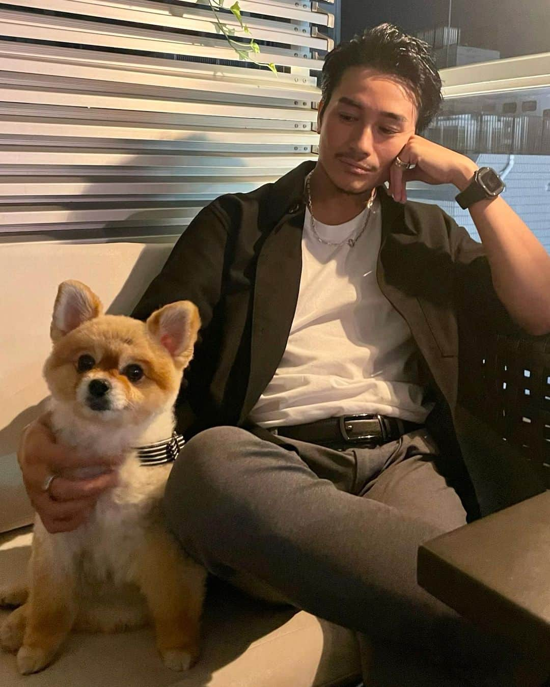 石垣彰啓さんのインスタグラム写真 - (石垣彰啓Instagram)「ぺことおれ🐕 めちゃくちゃ可愛くない？こいつ！  毛質がぬいぐるみみたいでマジで可愛い🧸 ただ、ちょい臭め。  #ポメラニアン」10月9日 18時30分 - akihiro0809