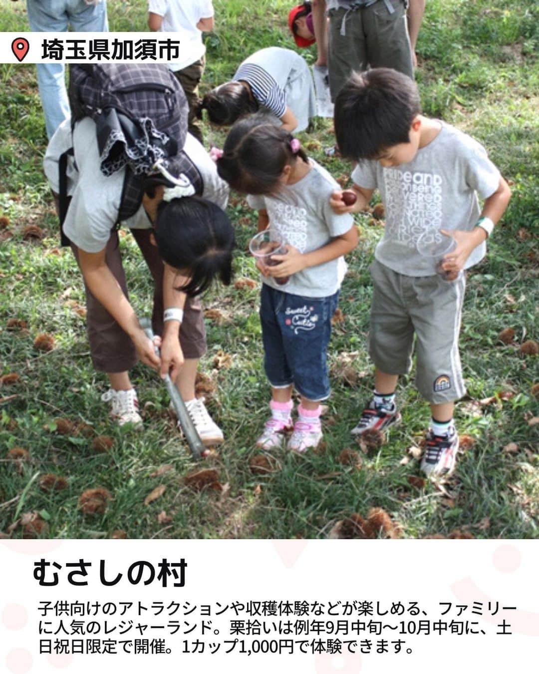 iko-yo（いこーよオフィシャル）さんのインスタグラム写真 - (iko-yo（いこーよオフィシャル）Instagram)「今回ピックアップしたのは「親子で味覚狩り！東京近郊おすすめ栗拾いスポット4選」 @ikoyo_odekakeに他の投稿も！ ーーーーーーーーーーーーーーーーーー 📍 埼玉県加須市 【むさしの村】 #むさしの村 @musashinomura1700 子供向けのアトラクションや収穫体験などが楽しめる、ファミリーに人気のレジャーランド。東北自動車道・加須ICから車で約20分の場所にあります。 栗拾いは例年9月中旬〜10月中旬に、土日祝日限定で開催。1カップ（約500〜600g）1,000円で体験できます（入園料は別途必要、中学生以上1200円、3歳以上650円）。受付は当日ファミリー館のフロントにて、9:30より開始。定員数が埋まり次第受付を終了してしまうため、早めにでかけるのがおすすめです。  📍 埼玉県所沢市 【田中ぶどう園】 #田中ぶどう園 関越自動車道・所沢ICから車で約20分。都内から気軽にアクセスできる家族経営の観光農園です。ぶどう園という名称ですが、栗拾いも楽しめます。 栗拾いは例年9月中旬〜10月中旬頃、土日祝日限定で開催。栗園はぶどう園の奥にあり、最盛期には大粒の栗の実がたくさん落ちています。栗拾いもぶどう狩りも収穫した量に応じて支払う重量制で、栗は100g100円、ぶどうは100g80円〜（品種による）。また、別途入園料（中学生以上500円、3歳〜小学生400円／栗園・ぶどう園共通）が必要です。 軍手やトングの貸し出しはないので、どちらかを持参しましょう。 ※2023年度は上記より値上げ予定  📍 千葉県成田市 【成田ゆめ牧場】 #成田ゆめ牧場 @yumebokujo アクセスは東関東自動車道の下総ICから車で約2分。栗拾い体験は、例年9月中旬〜10月中旬頃に実施。収穫できるのは1グループ500gまで。参加費用は900円です。別途、牧場の入場料が必要になります（中学生以上1,900円、4歳〜小学生1,000円、シニア1,700円）。 WEBでの事前予約が必須で、料金も事前支払いが必要です。開催時間は日によって異なるので、予約時にサイトで確認しましょう。授乳室は園内に3カ所あります。ベビーカーの貸し出し（１台400円）も行っており、赤ちゃん連れでも安心して楽しめますよ。  📍神奈川県相馬原市 【藤野園芸ランド】 #藤野園芸ランド 神奈川県相模原市緑区の名倉地区に点在する農家が協力して運営している観光農園。作物が採れる時期に、各農家で収穫体験ができます。 栗拾い体験は例年9〜10月頃に行われています。でかける前に、栗を栽培している農家に連絡して予約をしましょう。入園は無料で、収穫した作物の分だけ料金がかかるシステムです。  ※2023年10月09日時点の情報です。 最新の情報は公式HPや「いこーよ」サイトでご確認ください。 ーーーーーーーーーーーーーーーーーーー おでかけ情報量は日本最大級！ 子どもとお出かけ情報サイト「いこーよ」 「親子でおでかけしたい場所」をご紹介させていただいています！  お子さんとのおでかけの思い出の写真を、このアカウントをフォローの上#いこーよ #いこーよおでかけ部 をつけてぜひ投稿してください。魅力的な写真は、いこーよ公式SNSで紹介させていただきます！  募集中タグ#いこーよ #いこーよおでかけ部  「子どもと行きたい！」と思ったら保存が便利！ プロフィールのURLから「いこーよ」のサイトに行くと、他の投稿やオトクな情報などが載っています♪ ☞ @ikoyo_odekake  #いこーよ #お出かけ #おでかけ #お出かけスポット #子連れ #こどものいる暮らし #子連れスポット#子連れおでかけ #いこーよおでかけ部 #千葉ママ#千葉観光#神奈川ママ#神奈川観光 #埼玉ママ#埼玉観光#親子連れ#栗拾い#果物狩り#栗園#味覚狩り」10月9日 18時39分 - ikoyo_odekake
