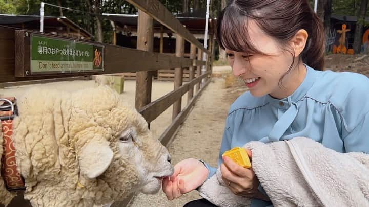 山崎聡子さんのインスタグラム写真 - (山崎聡子Instagram)「☕️ 動物とかわいい姪っ子に癒された連休…🐏 急に肌寒くなりましたね🍂  #那須 #那須観光 #家族旅行 #羊 #餌を感じたらむくっと立ち上がってやる気みせるのがかわいい😂」10月9日 19時32分 - 310puu