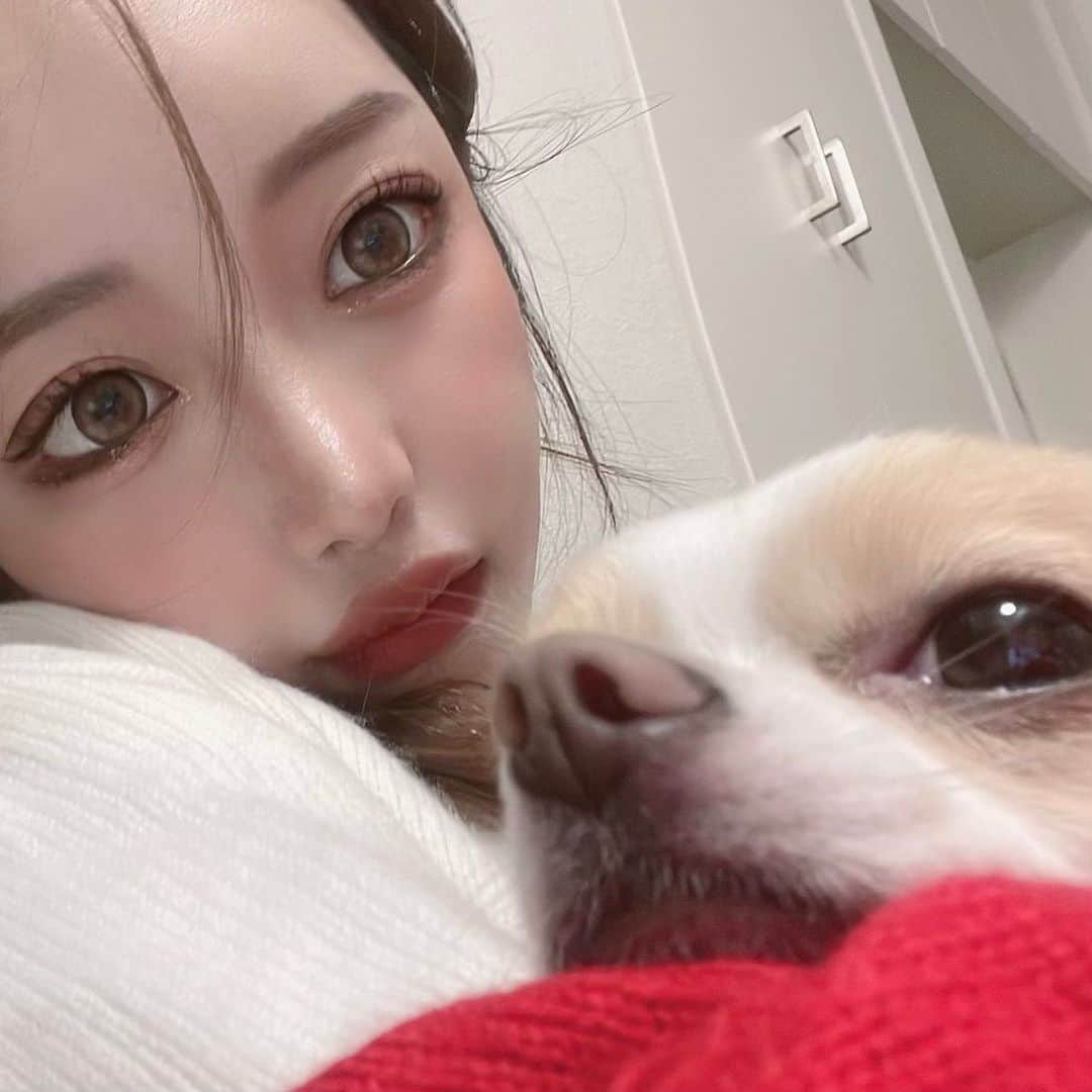 のインスタグラム：「赤ちゃんの匂いする🐶🍼❤️」