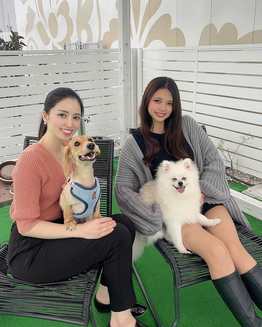 LUNAのインスタグラム：「🐶初めての犬会🐶  キラナガーデンに行ってきたよ〜！ @kiranah_garden_toyosu   今回はBBQじゃなくてレストランとドッグランへ🍴  けだまさん落ち着くか心配だったけど良い子で感動した🤣 写真の表情がジワジワくる面白さだけど笑  つぎはどこのドッグラン行こうかな〜🐻  #犬会#キラナガーデン#キラナガーデン豊洲 #犬のいる暮らし #犬スタグラム #ポメラニアン#ポメラニアン部 #ポメラニアンのいる暮らし #ポメラニアンクリーム #ペット可  #ドッグラン#ドッグカフェ#秋コーデ#ブーツコーデ#ミニスカコーデ #ダックスフンド #犬とお出かけ #ドッグサロン」