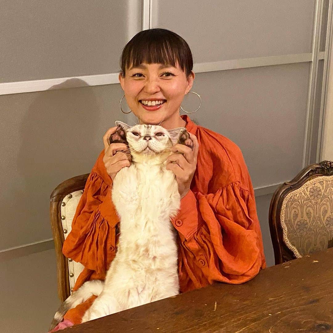 青山有紀さんのインスタグラム写真 - (青山有紀Instagram)「かわいすぎるがるちゃん❤️❤️❤️ 帰国してからずっとべったりくっついてる🌺❤️たまらん💕💕💕💕💕 #garu_cat #ガル様」10月9日 19時56分 - yukiaoya