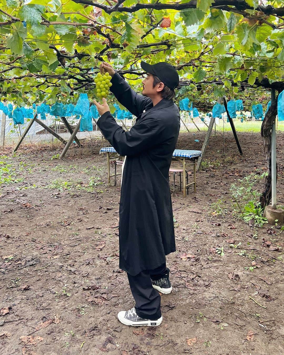 のインスタグラム：「. 山梨にふらっと遊びに行ってきました🍇  子供にもたくさん声かけてくれるし 山梨の方達すごく優しかった🫰🏽❤️‍🔥  シャインマスカット一房食べたので今年はもういりません🤣🤣🤣  #山梨旅」