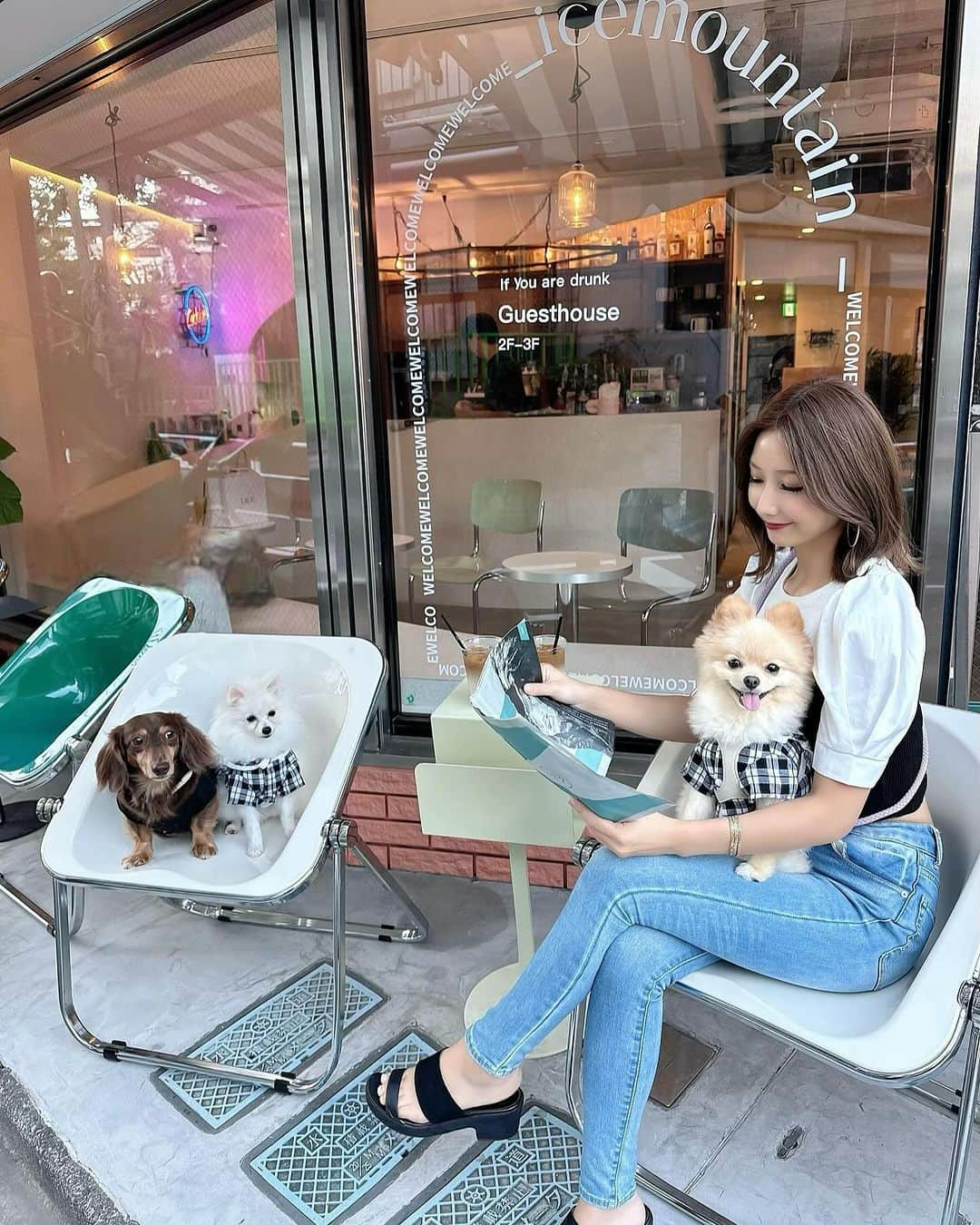 airiさんのインスタグラム写真 - (airiInstagram)「⁡ 店内×テラス🐶OKの海外っぽカフェ☕️♡ ⁡ みんなで写ってる写真の時はいぬ達より ママの盛れ度優先にさせて貰ってます(笑) ⁡ ウモだけ抱っこしたからぴのクムご機嫌斜め？ ⁡ #いぬすたぐらむ #いぬのいる暮らし  #いぬのいる生活 #犬のいる暮らし  #犬のいる生活 #愛犬家 #愛犬 #ポメ #ミニチュアダックスフンド #多頭飼い  #ミニチュアダックス #ポメラニアン  #犬とお出かけ #ポメラニアンパピー #子犬 #パピー #パピー犬 #ポメラニアン子犬  #犬okカフェ #犬ok #犬同伴可 #犬カフェ」10月9日 20時07分 - airigram131