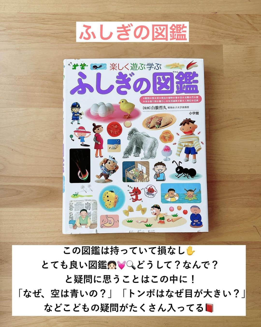 まるまるさんのインスタグラム写真 - (まるまるInstagram)「@pg_marumaru ←絵本がすき👧🏻💛📕 ⁡ ⁡ 今日は、かがく絵本を紹介したよ👍🏻📚 不思議な気持ちになる絵本ばかりで、読んだ後すぐ実験してみたくなるはず💛 好奇心の刺激にとってもおすすめです！！ ⁡ ⁡ ⁡ ・まほうのコップ ・ほね ・かみなり ・わけあって絶滅したけどすごいんです ・うちゃうはきみのすぐそばに ・なにかがいる ・ふしぎの図鑑 ⁡ 秋の読書時間に是非✨ ⁡ ⁡ ーーーーーーーーーーーーーーーーーーーーー ⁡ 知育好きなママが、おうちで簡単に楽しめる知育遊びを紹介しています✨ 他の投稿も覗いてみてね👀💛💛 ⁡ ーーーーーーーーーーーーーーーーーーーー　 #絵本 #えほん #読み聞かせ #図鑑 #知育」10月9日 20時21分 - pg_marumaru