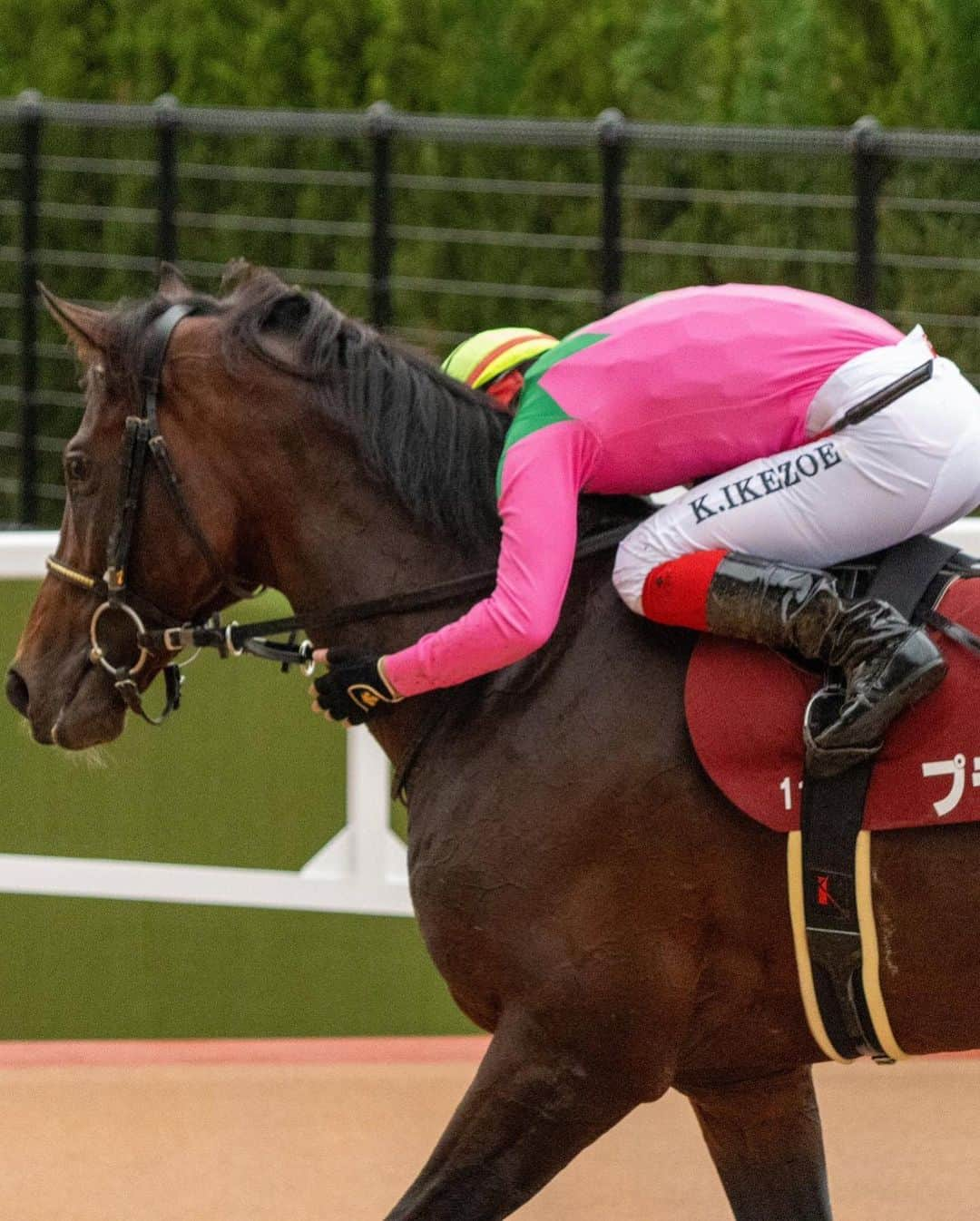 池添謙一さんのインスタグラム写真 - (池添謙一Instagram)「京都大賞典G2 プラダリア🏇 ありがとうございました(^^)✌️ 次も頑張ります‼︎  #プラダリア」10月9日 20時52分 - kenchan.0723