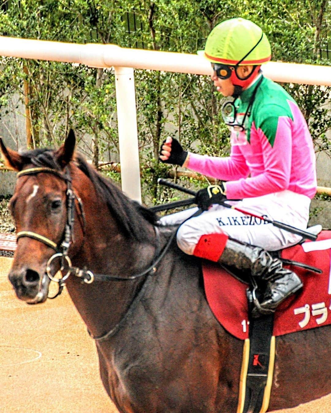 池添謙一さんのインスタグラム写真 - (池添謙一Instagram)「京都大賞典G2 プラダリア🏇 ありがとうございました(^^)✌️ 次も頑張ります‼︎  #プラダリア」10月9日 20時52分 - kenchan.0723