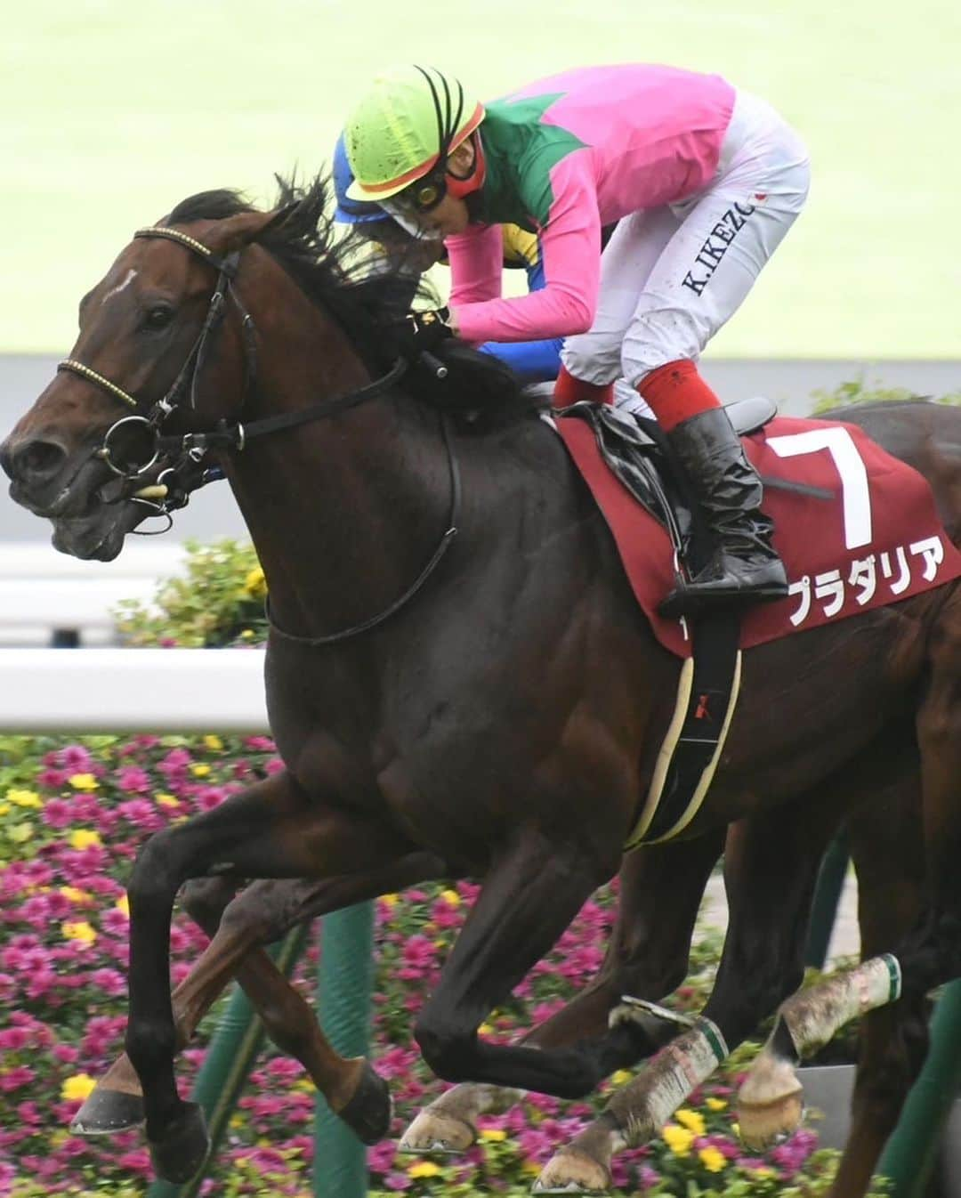 池添謙一さんのインスタグラム写真 - (池添謙一Instagram)「京都大賞典G2 プラダリア🏇 ありがとうございました(^^)✌️ 次も頑張ります‼︎  #プラダリア」10月9日 20時52分 - kenchan.0723