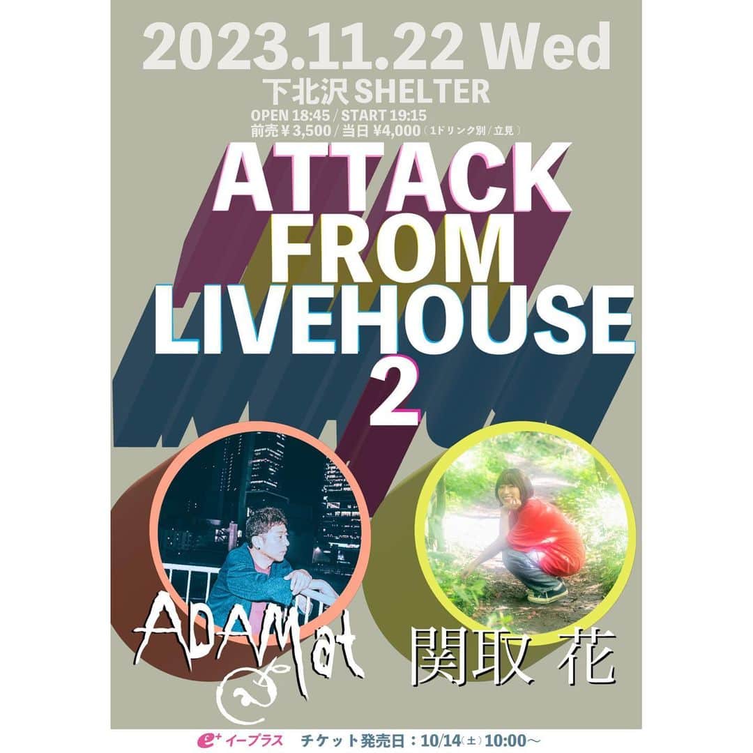 関取花のインスタグラム：「ライブのお知らせ🎸  2023.11.22(水)📍下北沢SHELTER "ATTACK FROM LIVEHOUSE 2"  出演：ADAM at / 関取 花 OPEN18:45 / START19:15 前売￥3,500 / 当日¥4,000 ※1ドリンク・立見  チケット：e+にて10/14(土)10:00〜発売開始  =====  11/22、下北沢SHELTERにてADAM at さんとの2マンライブが決まりました🎹🎸👫💥  ADAM atさんのライブ、めちゃめちゃかっこいいし楽しいしで本当に楽しみです！そして場所も大好きなSHELTERなのが嬉しい。  平日だけど、是非遊びに来てくださいなー！」