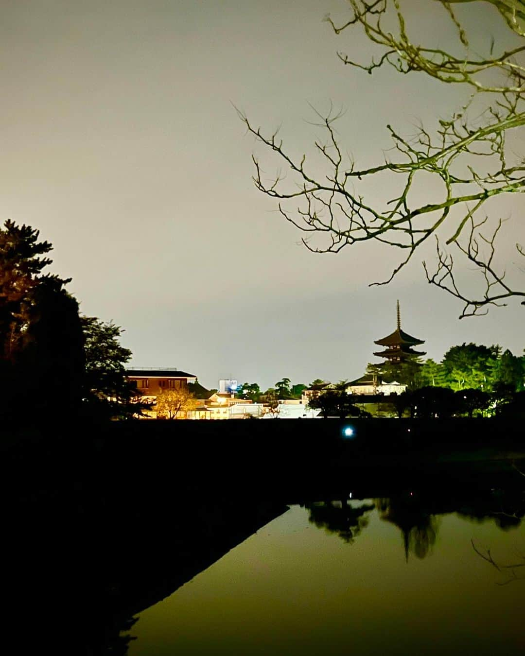 永倉由季さんのインスタグラム写真 - (永倉由季Instagram)「. . ⁡ 【MISIA in 奈良 東大寺大仏殿】 　　　　　　　　　　　　　　　　　　　　　　　　　　　　　　　　　　　　　　　　　　　　　 奈良県出身 明石家さんまさんの メッセージビデオで爆笑のスタート笑 ⁡ まさかの 奈良に縁のサプライズゲストも登場✨ ⁡ ________________________ 　　　 　　　　　　　 「心を込めて音楽を奉納させていただきます」 という MISIAの言葉ではじまった 　 ⁡ 「東大寺 開山良弁僧正1250年御遠忌慶讃  MISIA PEACEFUL PARK   Dialogue for Inclusion 2023」に 　　　　　　　　　　 行かせてもらいました。　 (前のセンターのお席😭) ⁡ @todaiji.official  ________________________ 　 　　　　 飢饉、災害、伝染病の流行などを おさめるために建立された 今の時代にふさわしい場所で 　 　　　　 最後まで 鎮魂と愛に包まれた空間となりました。 ⁡ 　　　　　　　　　 ⁡ 「さよならも言わないままで」 「逢いたくていま」 ⁡ この2曲の連続は 個人的にさまざまな想いが溢れて涙が崩壊。 (会場も声を出して涙・涙) ⁡ 　　　　　　 小柄なMISIAの身体から　　 　　　　　　　　　　　　　　　　 伸びやかで天に届くような声量のある歌声が 奈良の夜空に響きわたりました🌠 　　 @misia.singer   　　　　　　 そして、サプライズゲストは 　　　　　　　　 同郷 奈良市出身　　　　　　 KinKi Kids 堂本剛さん✨ ⁡ 「愛は求めるものではなく与え合うもの」 という呼びかけで ⁡ 　　　　　 ・自分の命が始まった奈良の地を歌った「街」 ・「LOVE VS LOVE」with MISIA 　　　　 を熱唱。 ⁡ @tsuyoshi.domoto24_j  ⁡ 生歌、うまいなぁ MISIAとのコラボも素晴らしすぎた。 (ジーンジーン) ⁡ 　　　　　　　　 そして むかし打ち上げでお会いした 寺岡呼人さんも出演されていて感動！！！ ⁡ 　　　　　　　　 ライブの合間には ⁡ 著名人が続々と 「生きてるだけでまるもうけ」ソングを リレー形式で歌う映像も流れました。 ⁡ 　　　 　　　　　　 入り口で手渡されたキャンドルを 全員で揺らしながら ⁡ 2日間で計1万6,000人が 　　　　 奈良の地で 平穏を祈りながらココロをひとつに 重ねました。 ⁡ 寒さを吹き飛ばすほど あったかい♡ ⁡ 　　　　　　　　 今後も全国で開催されるかと思うので ぜひとも参加してほしいです🌌 ⁡ 　　　　　　　 　　　　 ゲスト 　　　　　　 ▪️NARITA THOMAS SIMPSON 　　　　 　成田昭次(元男闘呼組)、寺岡呼人、青山英樹 ⁡ ▪️ Little Black Dress 　Ryo ＆　Moe 　 ▪️ 元ちとせ ⁡ ▪️ ENDRECHERI  　　堂本剛 　　 ▪️UA ⁡ #東大寺大仏殿  #MISIA #成田昭次 #寺岡呼人 #青山英樹 #littleblackdress  #元ちとせ #堂本剛  #endrecheri  #UA #明石家さんま  #奈良県出身  #奈良県民  ⁡ . . ⁡ ⁡ ▶︎アメブロ更新　↓プロフリンクから　　　　　　　　　　　　　　　@yuki_nagakura67 ⁡ ✼••┈┈┈┈┈┈┈┈┈┈┈┈┈┈┈┈••✼  　　　　　 ▶︎アナウンサー・プライベート用Instagram @yuki_nagakura67 ⁡ ▶︎ブランディング用/魅せ方・伝え方・オススメ @yuki_nagakura_brushup_salon ⁡ ✼••┈┈┈┈┈┈┈┈┈┈┈┈┈┈┈┈••✼ ⁡ ⁡ #永倉由季 #フリーアナウンサー #司会者 #顔タイプ診断 #顔タイプアドバイザー #アナウンサー ___________________________」10月9日 21時30分 - yuki_nagakura67