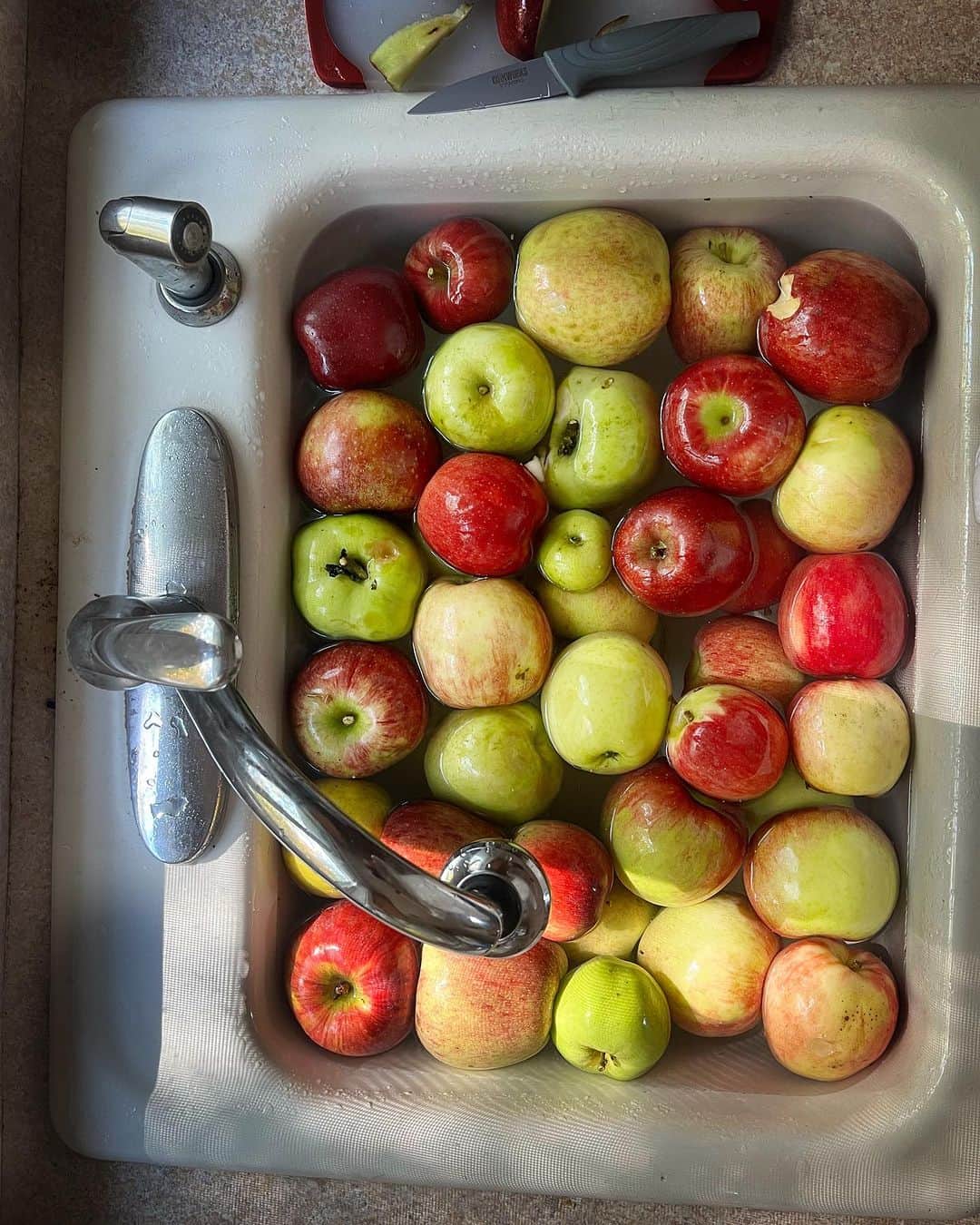 のインスタグラム：「A successful day of Apple Picking….」